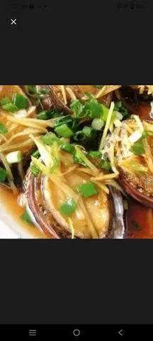 Hình ảnh bào ngư hấp gừng _1con