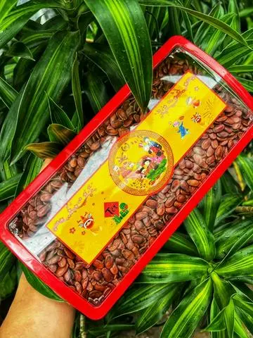 Hình ảnh Hạt dưa tết