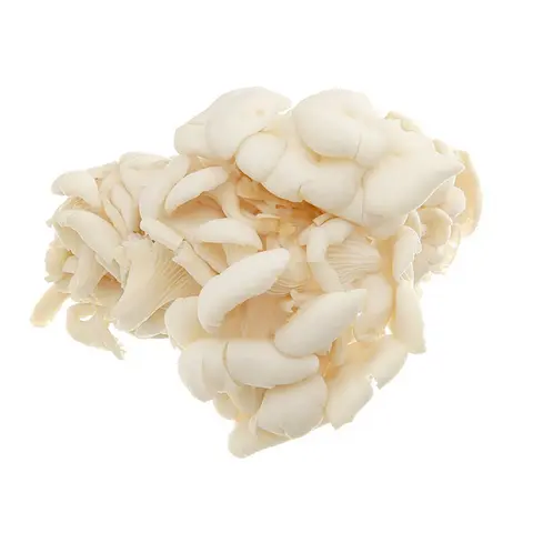 Hình ảnh Nấm bào ngư trắng - 50gr