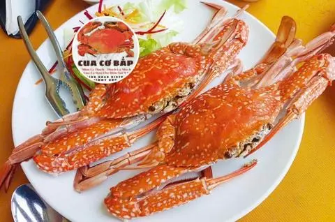 Hình ảnh 2 GHẸ CƠ BẮP HẤP