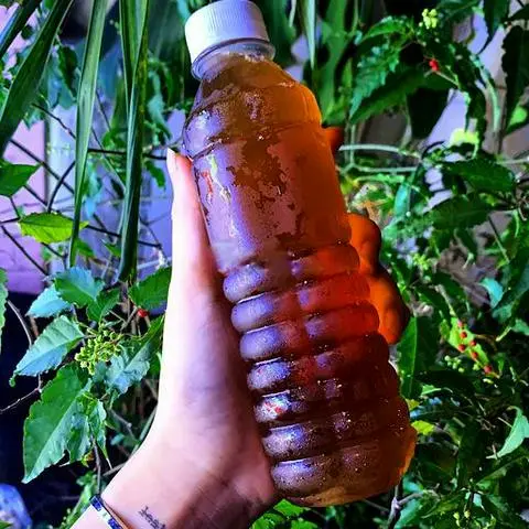 Hình ảnh Nước sâm bông cúc