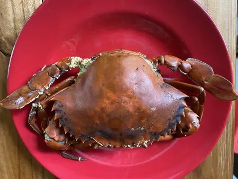 Hình ảnh Cua Cà Mau