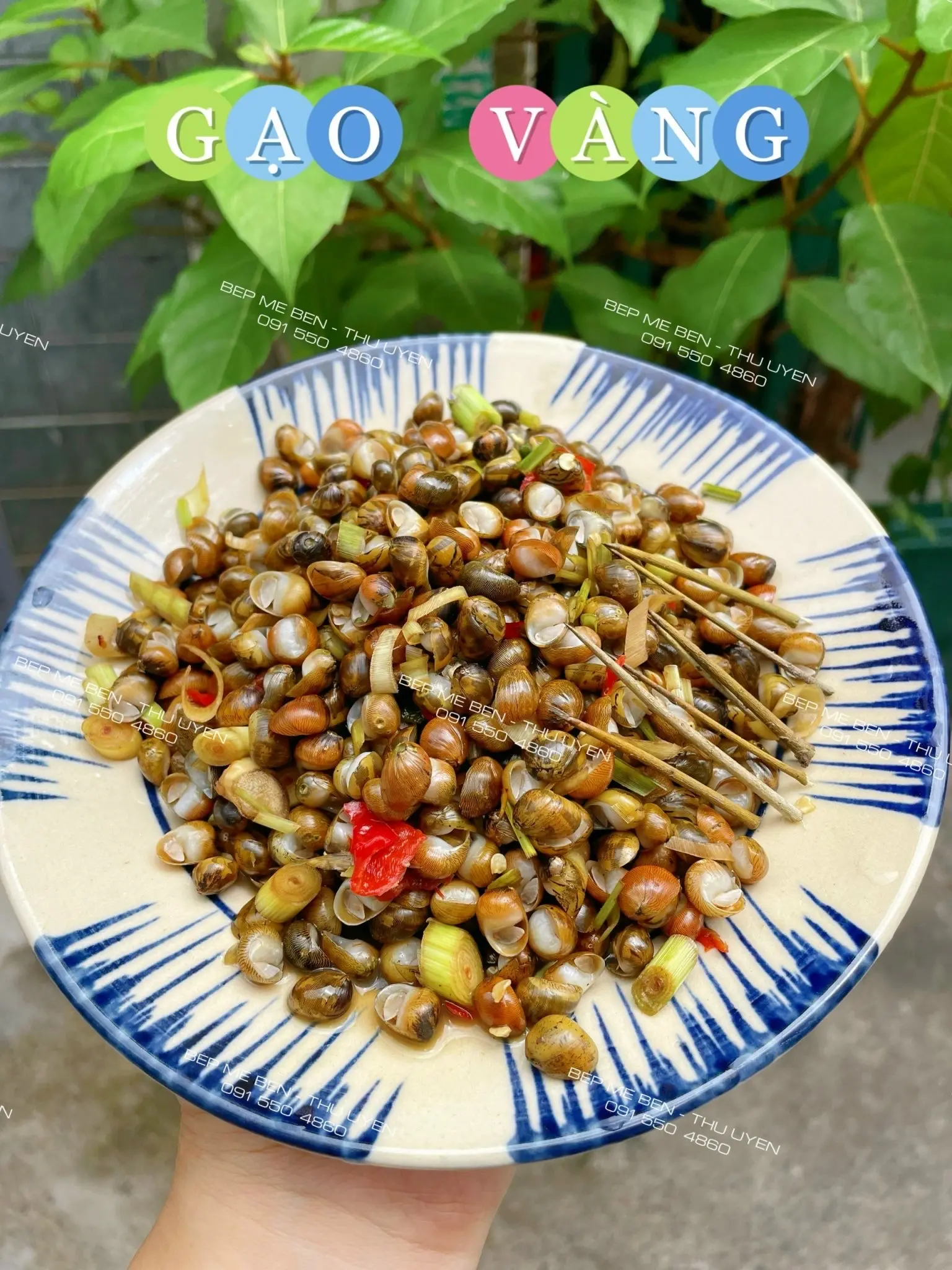 Hình ảnh Ốc Gạo