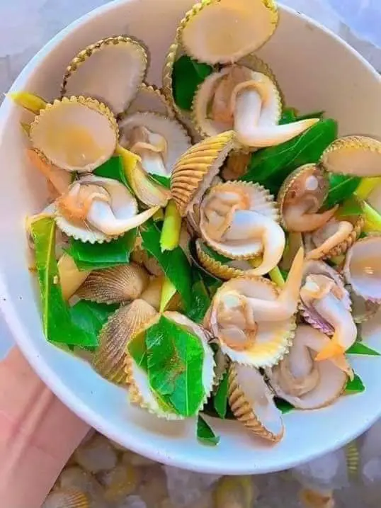 Hình ảnh SÒ DƯƠNG 2c HẤP XẢ