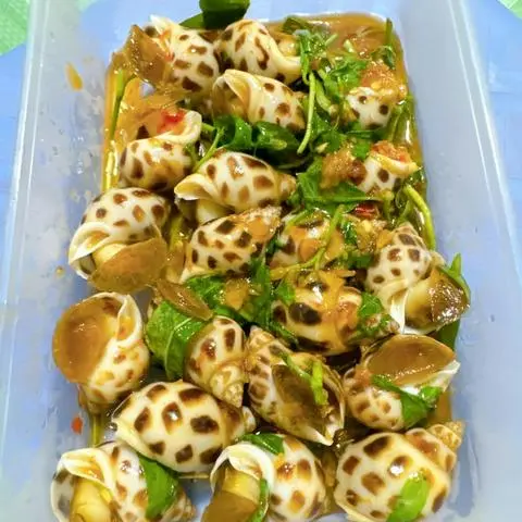 Hình ảnh Ốc Hương 