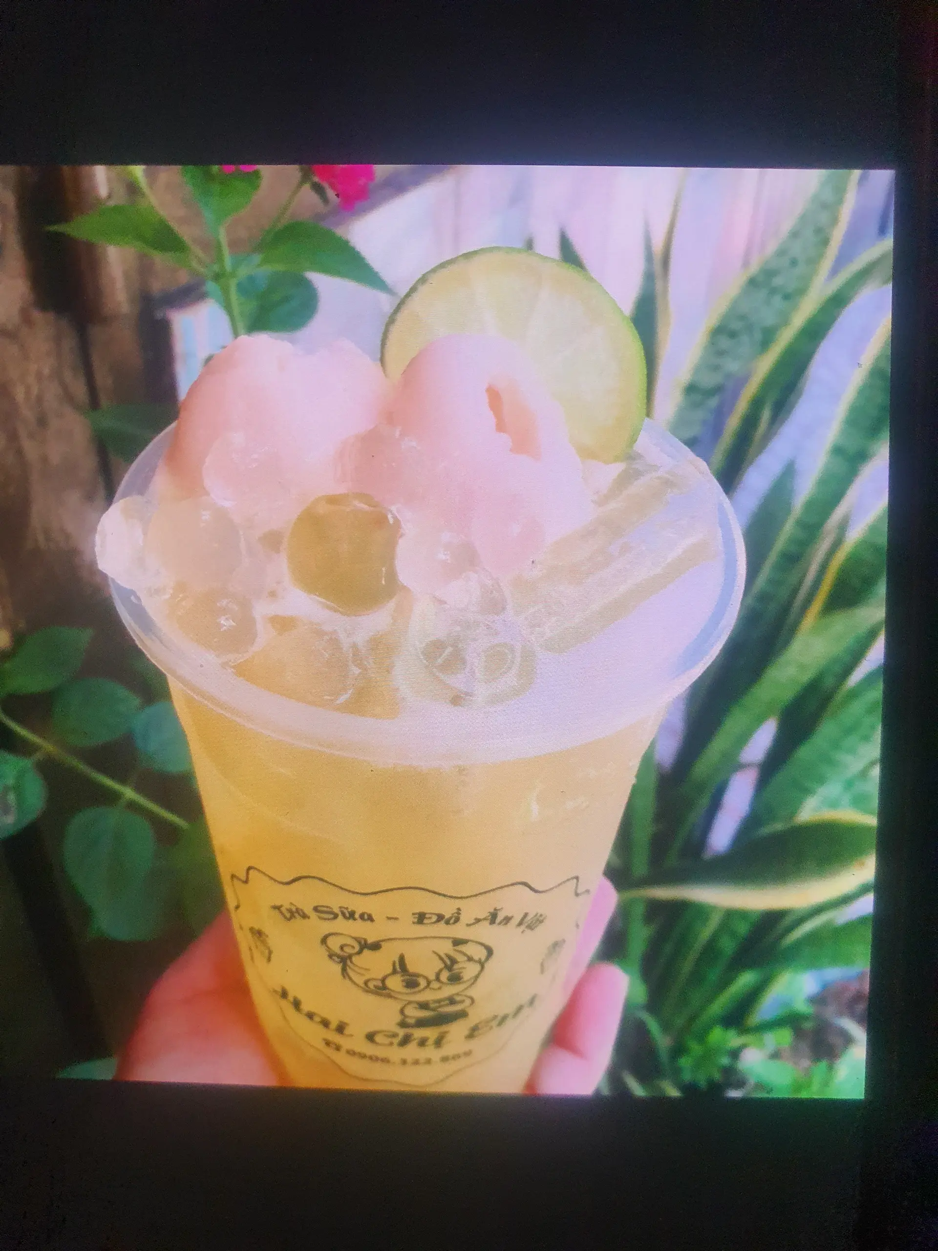 Hình ảnh Trà vải