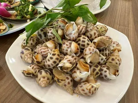 Hình ảnh Ốc hương