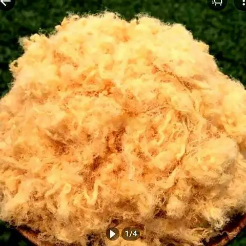 Hình ảnh Chà bông