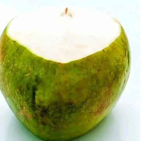 Hình ảnh Dừa dứa