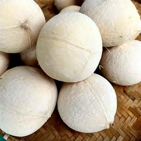 Hình ảnh Dừa xiêm gọt trọc