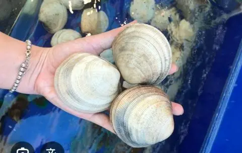 Hình ảnh Sò tộ hấp Thái