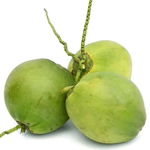 Hình ảnh Dừa tươi 