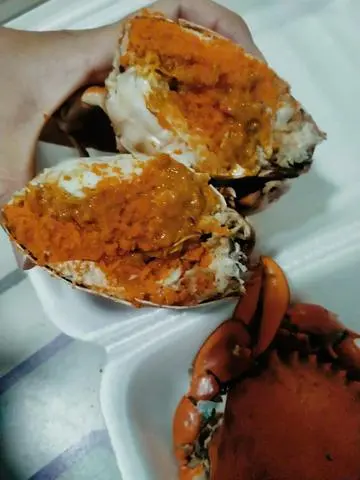 Hình ảnh Combo 2 gạch hấp chín size vừa 