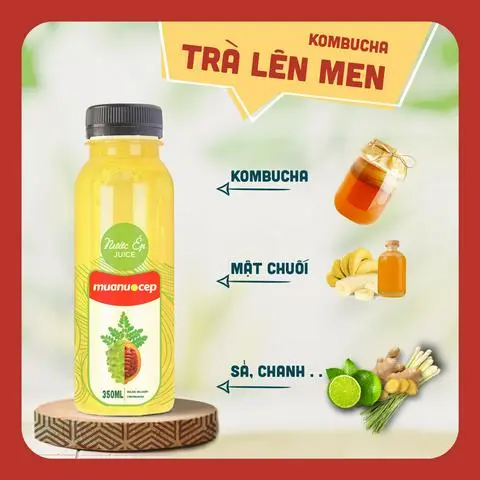 Hình ảnh Kombucha Trà Lên Men Thảo Mộc Herbal Healthy