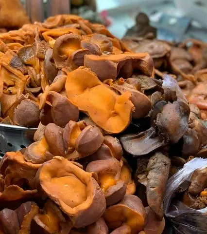 Hình ảnh Mề vịt chiên, sả, tỏi, đậu bắp+ rau răm nước chấm 