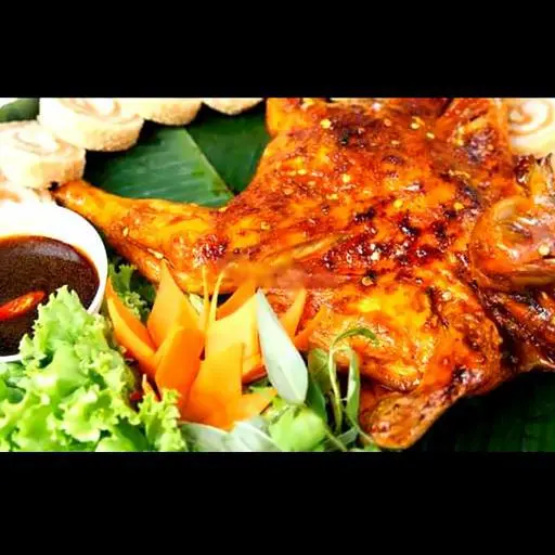 Hình ảnh Gà nguyên con