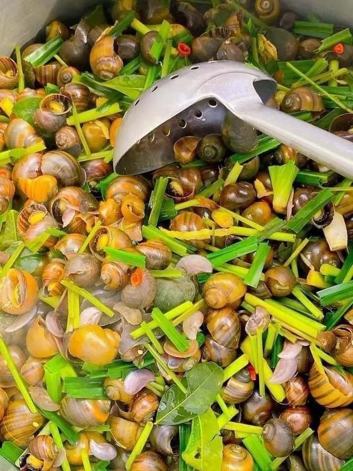 Hình ảnh Ốc Lác luột sả ớt-1 Phần