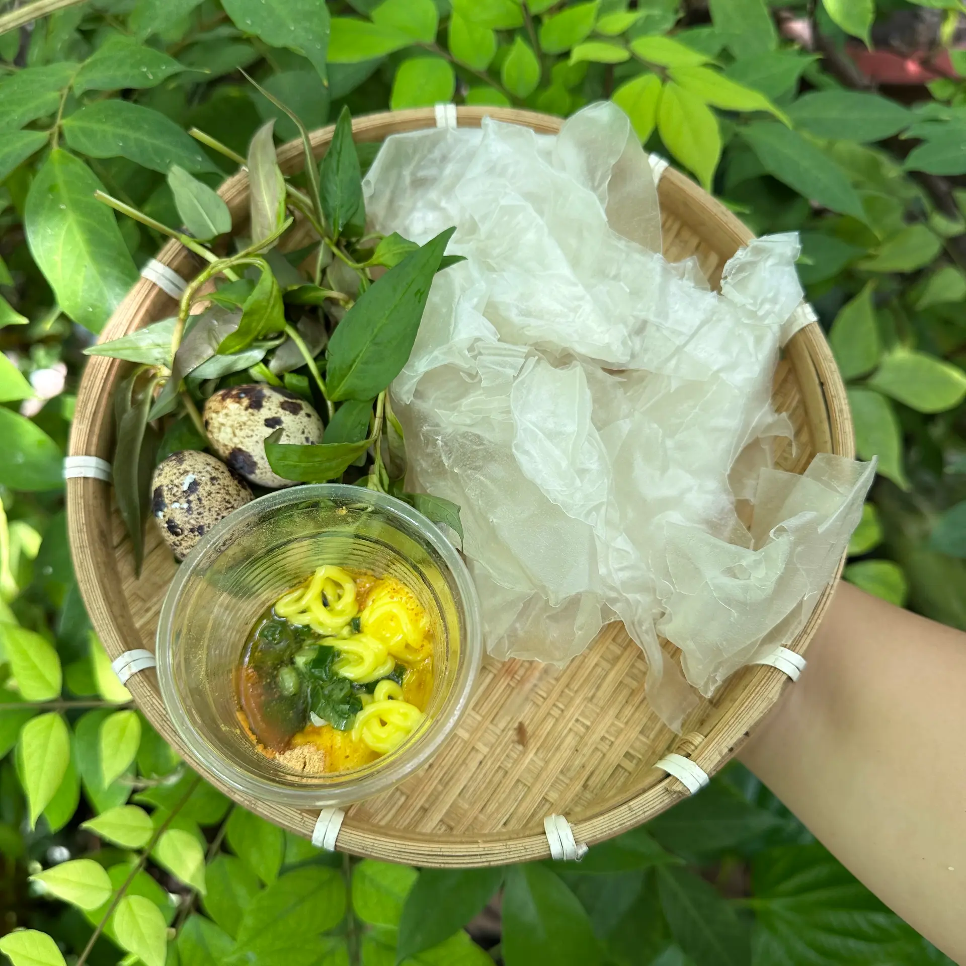 Hình ảnh Bánh Tráng Chấm - Mỡ Hành Bơ