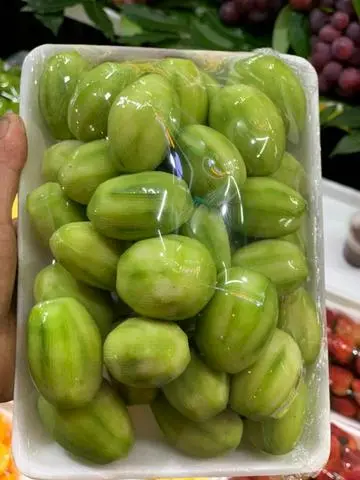 Hình ảnh Cóc bao tử