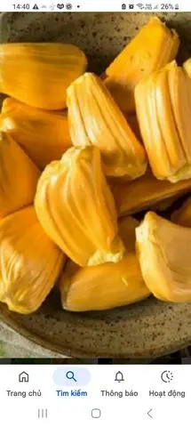 Hình ảnh Mít Thái Đóng Hộp