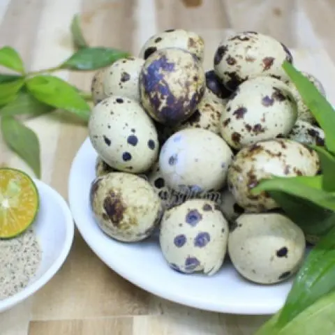 Hình ảnh 10 Trứng Cúc Lộn Luộc Nước Dừa