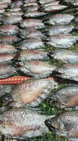 Hình ảnh khô cá sặc lạt vừa ăn 500g