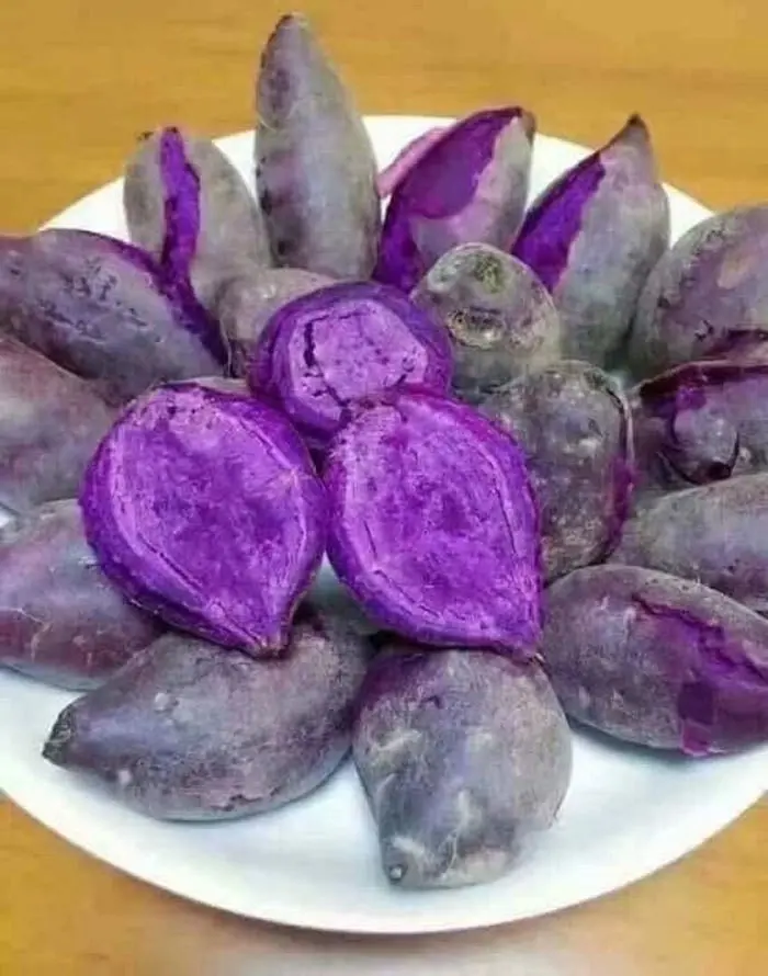 Hình ảnh khoai tím hấp ( 1kg)