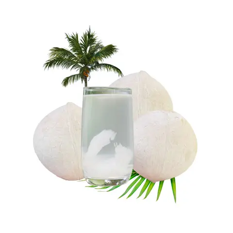 Hình ảnh Dừa tươi