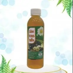 Hình ảnh sâm rong biển