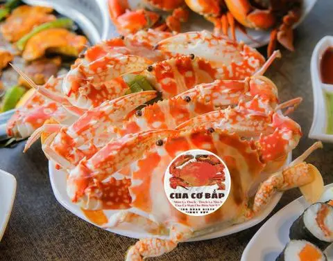 Hình ảnh 3 GHẸ ĐỎ SIZE VỪA  (500~600gr)