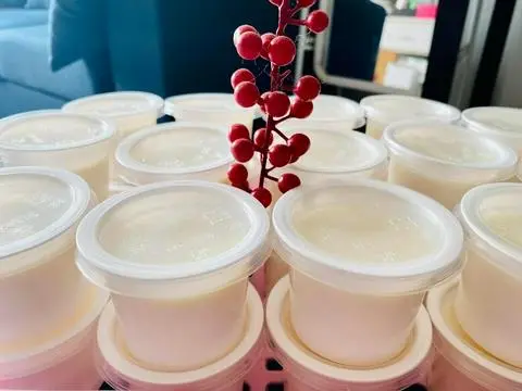 Hình ảnh 1 -  SỮA CHUA DẺO
