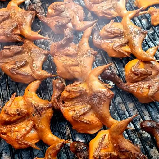 Hình ảnh Chim cút 1 con
