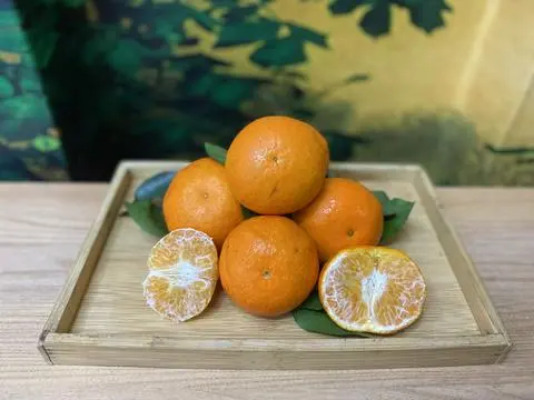 Hình ảnh Quýt Úc - 1kg