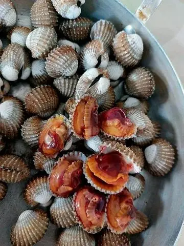 Hình ảnh sò huyết nướng mọi
