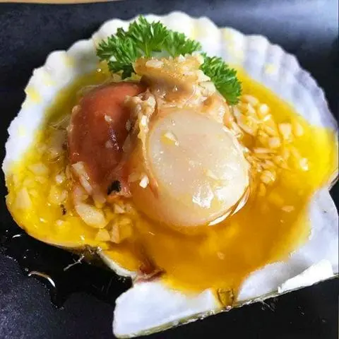Hình ảnh Sò Điệp Nhật ( 1Con size nhỏ)