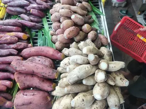 Hình ảnh khoai hấp thâp cẩm 1kg