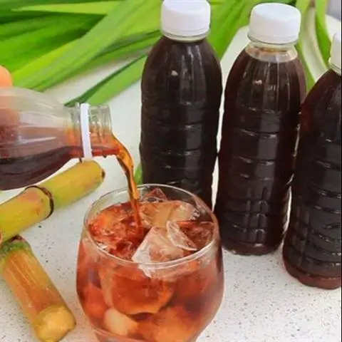 Hình ảnh sâm rông biển+ tặng lý đá