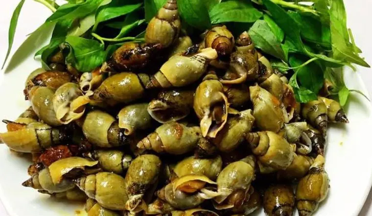 Hình ảnh ỐC CÀ NA RANG MUỐI 