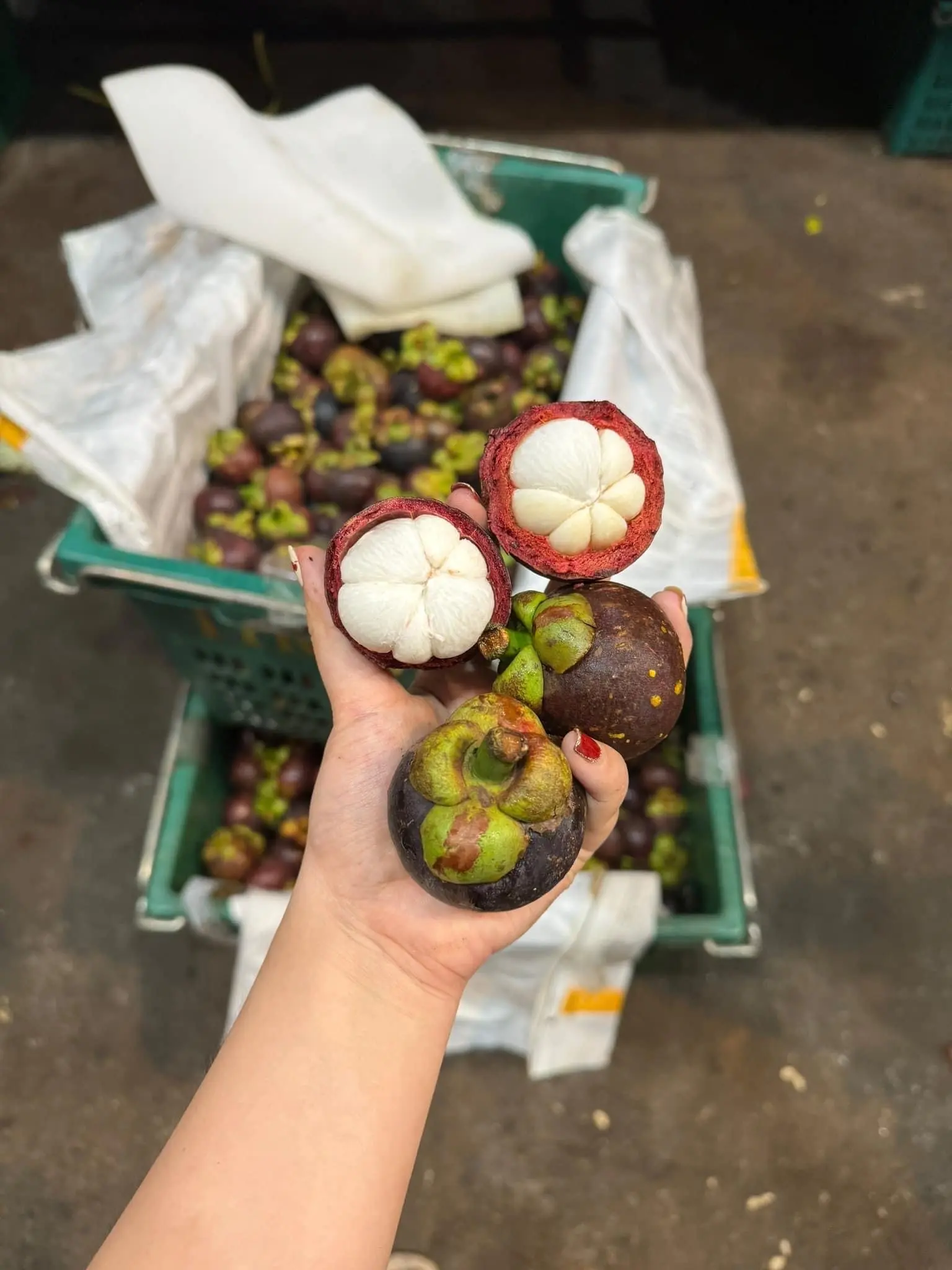 Hình ảnh Khay măng cụt cắt sẵn nửa vỏ
