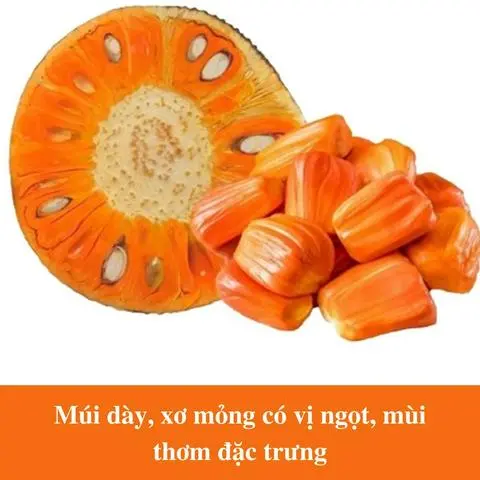 Hình ảnh Mít ruột đỏ Indo