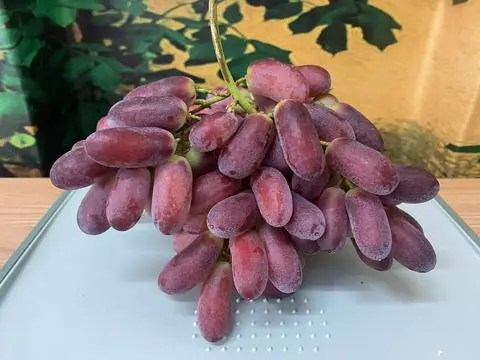 Hình ảnh Nho đỏ Long Crimson - 500gr