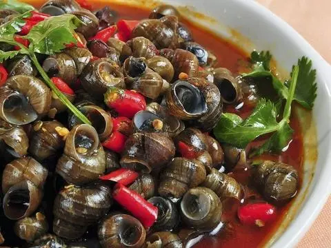 Hình ảnh Ốc hút