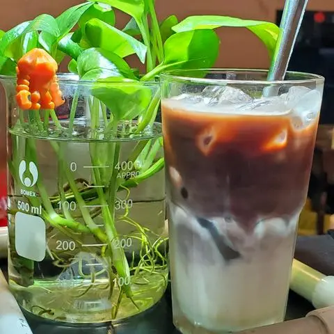 Hình ảnh Latte Cacao