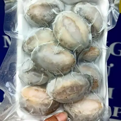 Hình ảnh Bào Ngư Tươi