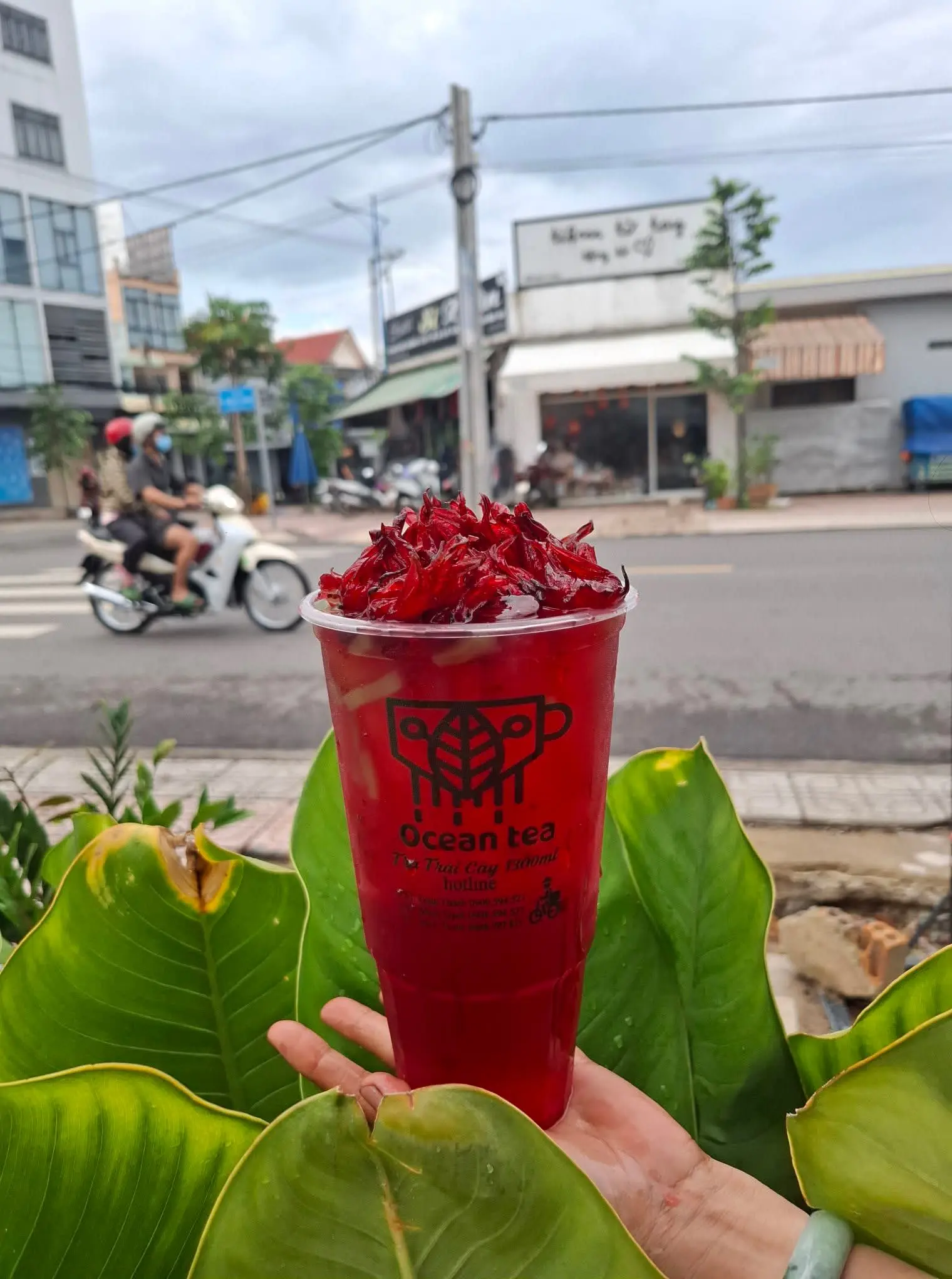 Hình ảnh Trà atiso đỏ
