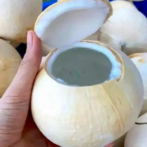 Hình ảnh Dừa Lạnh ( Chặc Bỏ Ly + Lấy Cái )