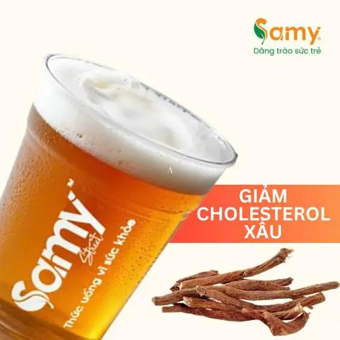 Hình ảnh Đan Sâm Bì Tửu - Giảm Cholesterol Xấu