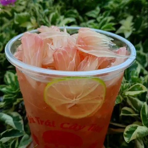 Hình ảnh Trà  Bưởi  Hồng 
