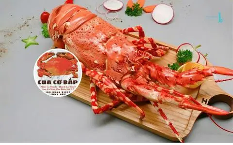 Hình ảnh 1 TÔM HÙM XANH BABI (250~320gr) 
