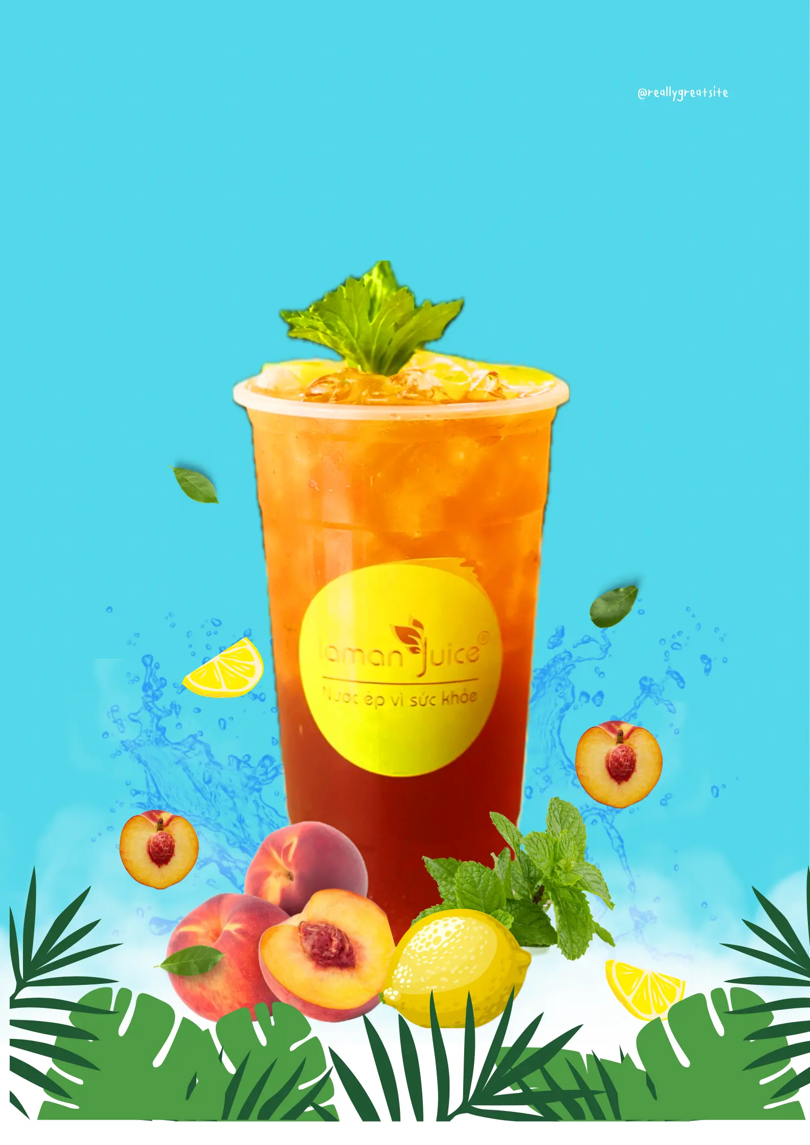 Hình ảnh TRÀ ĐÀO- T01
